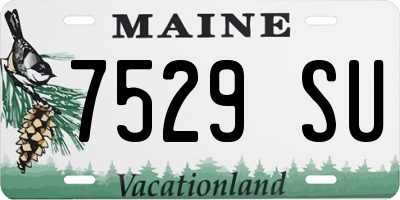 ME license plate 7529SU