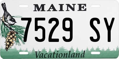 ME license plate 7529SY