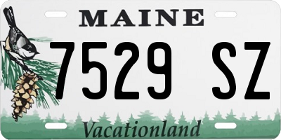 ME license plate 7529SZ