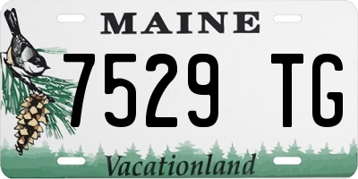 ME license plate 7529TG