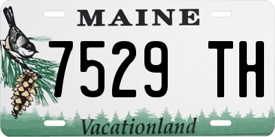 ME license plate 7529TH