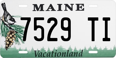 ME license plate 7529TI