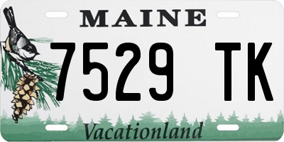 ME license plate 7529TK