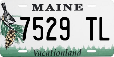 ME license plate 7529TL