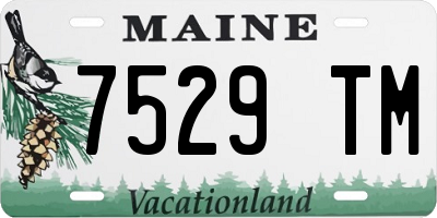 ME license plate 7529TM