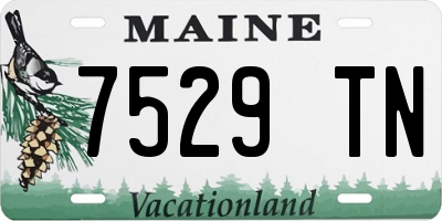 ME license plate 7529TN