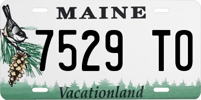 ME license plate 7529TO