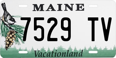 ME license plate 7529TV
