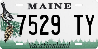 ME license plate 7529TY