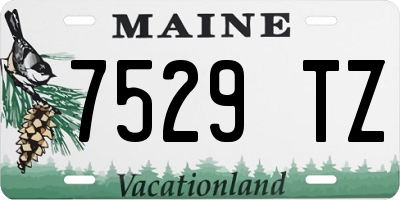 ME license plate 7529TZ