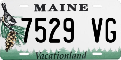 ME license plate 7529VG