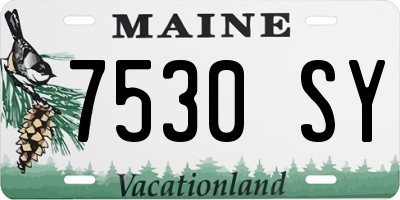ME license plate 7530SY