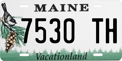 ME license plate 7530TH