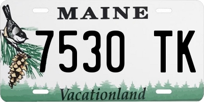 ME license plate 7530TK