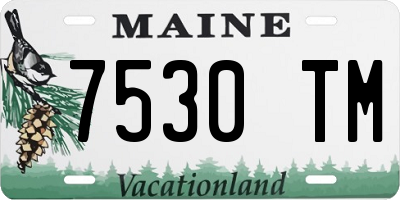 ME license plate 7530TM