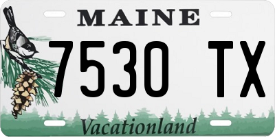 ME license plate 7530TX