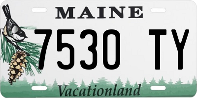 ME license plate 7530TY
