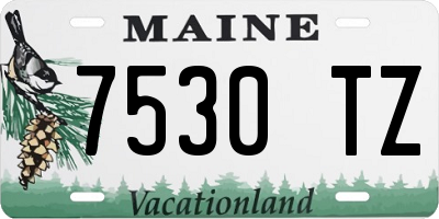 ME license plate 7530TZ