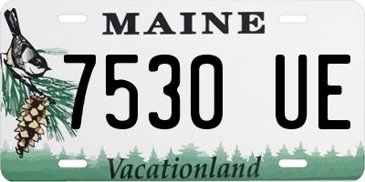 ME license plate 7530UE