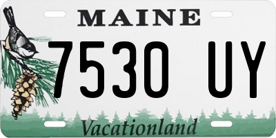 ME license plate 7530UY