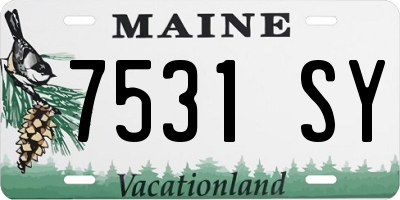 ME license plate 7531SY