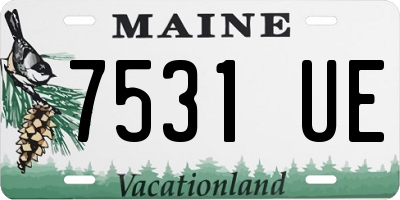 ME license plate 7531UE