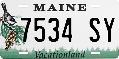 ME license plate 7534SY