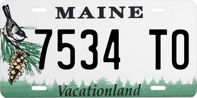 ME license plate 7534TO