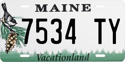 ME license plate 7534TY