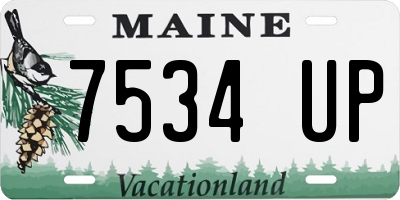 ME license plate 7534UP