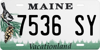 ME license plate 7536SY