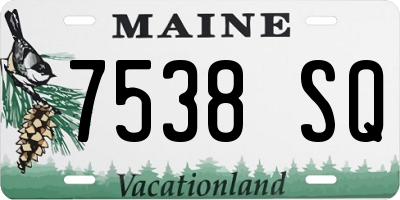 ME license plate 7538SQ