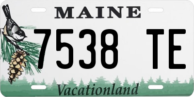 ME license plate 7538TE