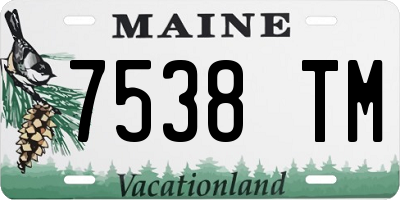 ME license plate 7538TM