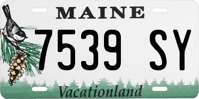 ME license plate 7539SY