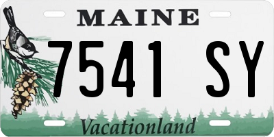 ME license plate 7541SY