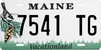 ME license plate 7541TG