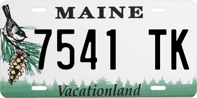 ME license plate 7541TK