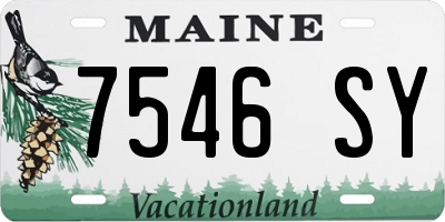 ME license plate 7546SY