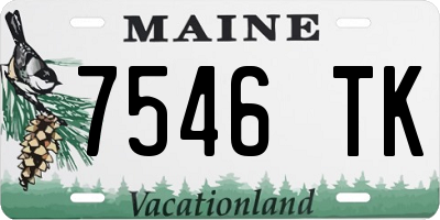 ME license plate 7546TK