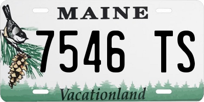 ME license plate 7546TS