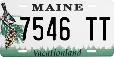 ME license plate 7546TT