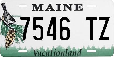 ME license plate 7546TZ
