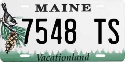 ME license plate 7548TS