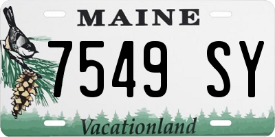 ME license plate 7549SY