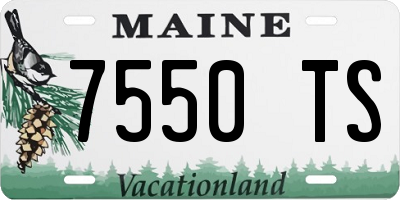 ME license plate 7550TS