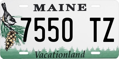 ME license plate 7550TZ
