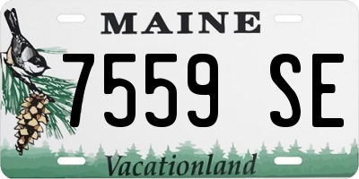 ME license plate 7559SE