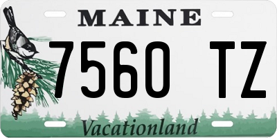 ME license plate 7560TZ