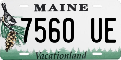 ME license plate 7560UE